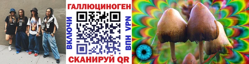 Псилоцибиновые грибы Psilocybine cubensis  OMG зеркало  Зерноград 